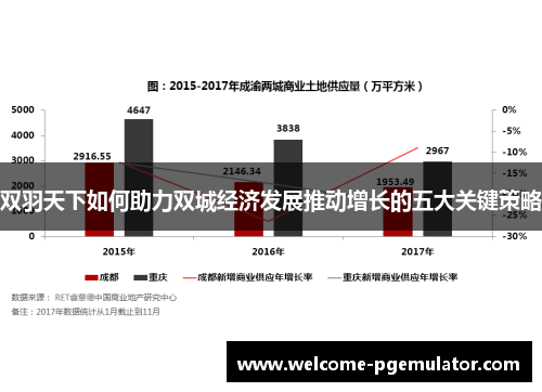 双羽天下如何助力双城经济发展推动增长的五大关键策略