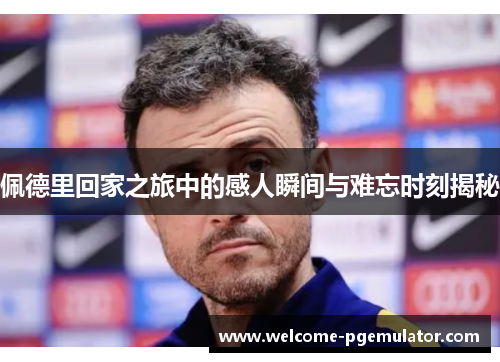 佩德里回家之旅中的感人瞬间与难忘时刻揭秘