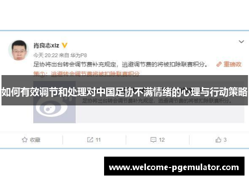 如何有效调节和处理对中国足协不满情绪的心理与行动策略