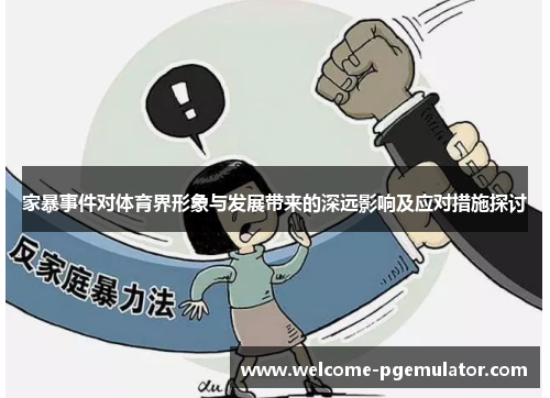 家暴事件对体育界形象与发展带来的深远影响及应对措施探讨