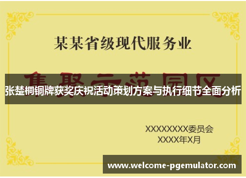 张楚桐铜牌获奖庆祝活动策划方案与执行细节全面分析