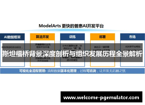 斯坦福桥背景深度剖析与组织发展历程全景解析