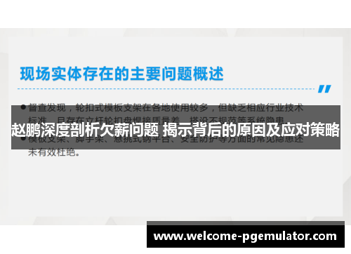 赵鹏深度剖析欠薪问题 揭示背后的原因及应对策略 赵鹏深度剖析欠薪问题 揭示背后的原因及应对策略