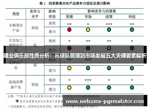 建业俱乐部性质分析：从球队管理到市场发展五大关键要素解析