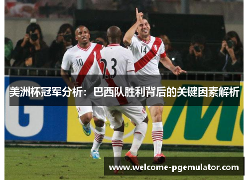 美洲杯冠军分析：巴西队胜利背后的关键因素解析