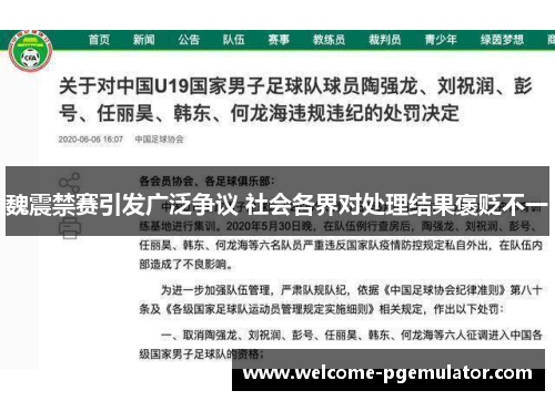 魏震禁赛引发广泛争议 社会各界对处理结果褒贬不一