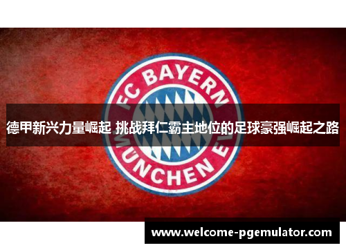 德甲新兴力量崛起 挑战拜仁霸主地位的足球豪强崛起之路 德甲新兴力量崛起 挑战拜仁霸主地位的足球豪强崛起之路