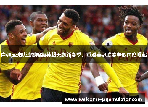 卢顿足球队遗憾降级英超无缘新赛季，重返英冠联赛争取再度崛起