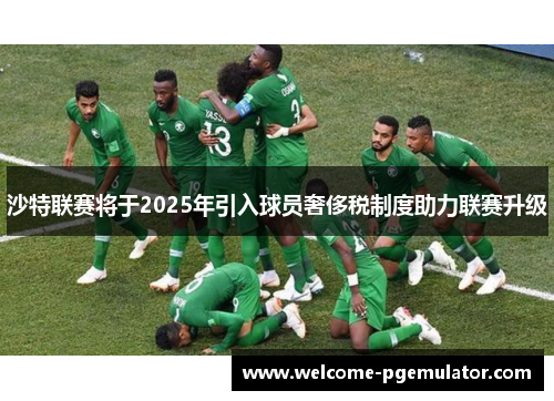 沙特联赛将于2025年引入球员奢侈税制度助力联赛升级 沙特联赛将于2025年引入球员奢侈税制度助力联赛升级