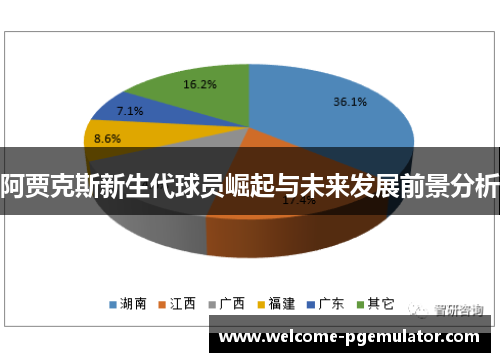 阿贾克斯新生代球员崛起与未来发展前景分析 阿贾克斯新生代球员崛起与未来发展前景分析