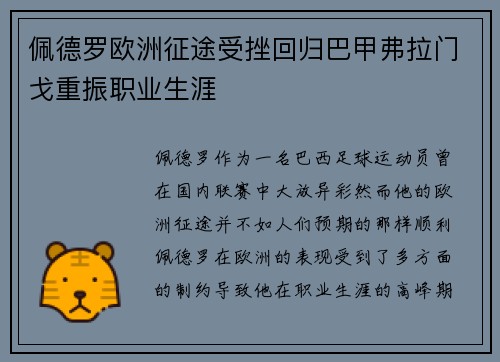 佩德罗欧洲征途受挫回归巴甲弗拉门戈重振职业生涯