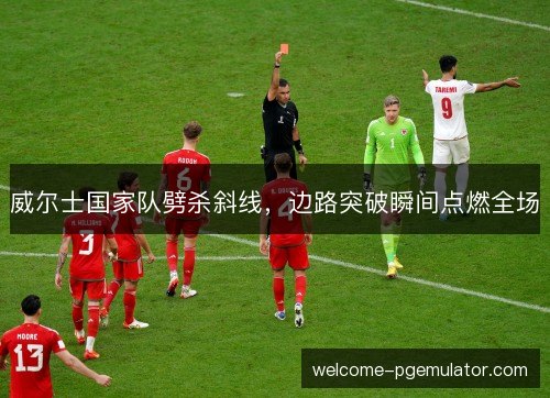 威尔士国家队劈杀斜线，边路突破瞬间点燃全场